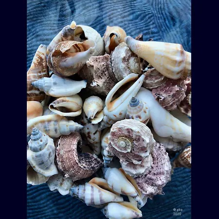 Willkommen-glueckstadt Apartament